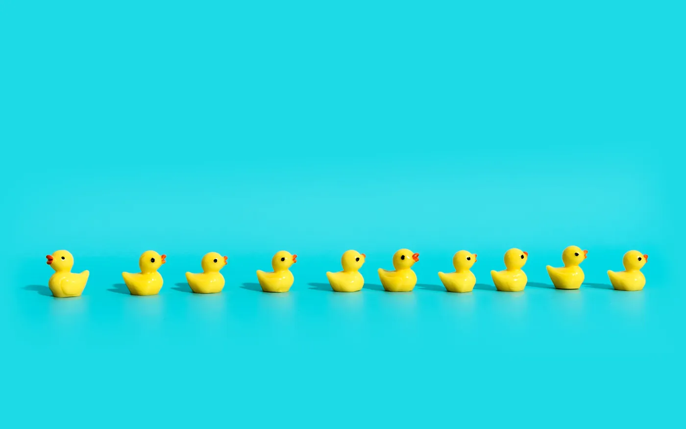 Get your financial ducks in an organised row